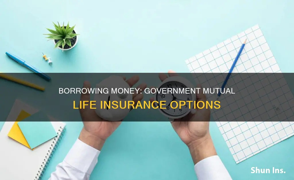 how do you borrow money from government mutual life insurance