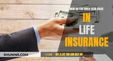 Building Cash Value: Maximizing Your Life Insurance Benefits