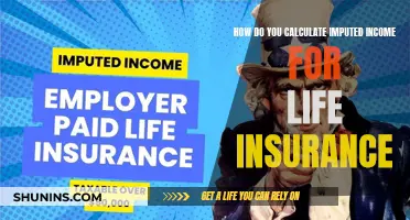 Imputed Income: Calculating Life Insurance with Precision