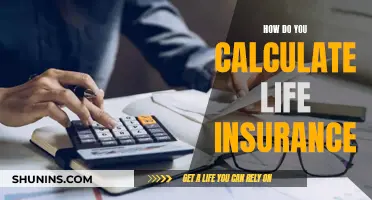 Calculating Life Insurance: What You Need to Know