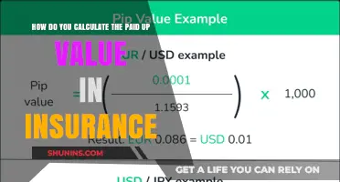 Understanding Paid-Up Value: Calculation Methods in Insurance Policies Explained