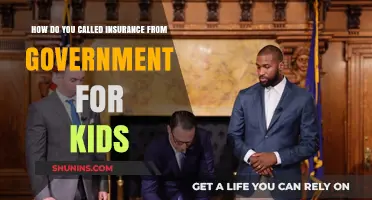 Government-Sponsored Child Insurance: What You Need to Know