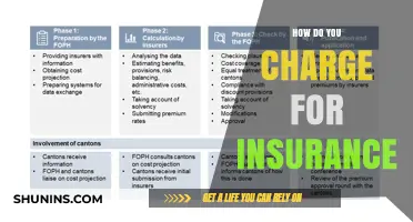 Understanding Insurance Premiums: How to Calculate and Charge Fairly