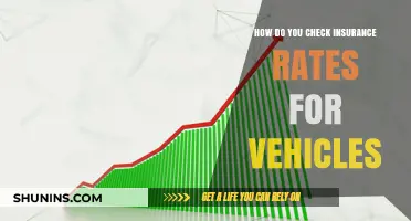Vehicle Insurance Rates: How to Check and Compare