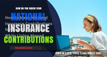 Understanding National Insurance Contributions: Your Guide to Checking Records