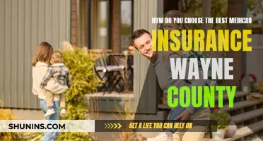 Medicaid Insurance: Choosing the Best Plan for Wayne County