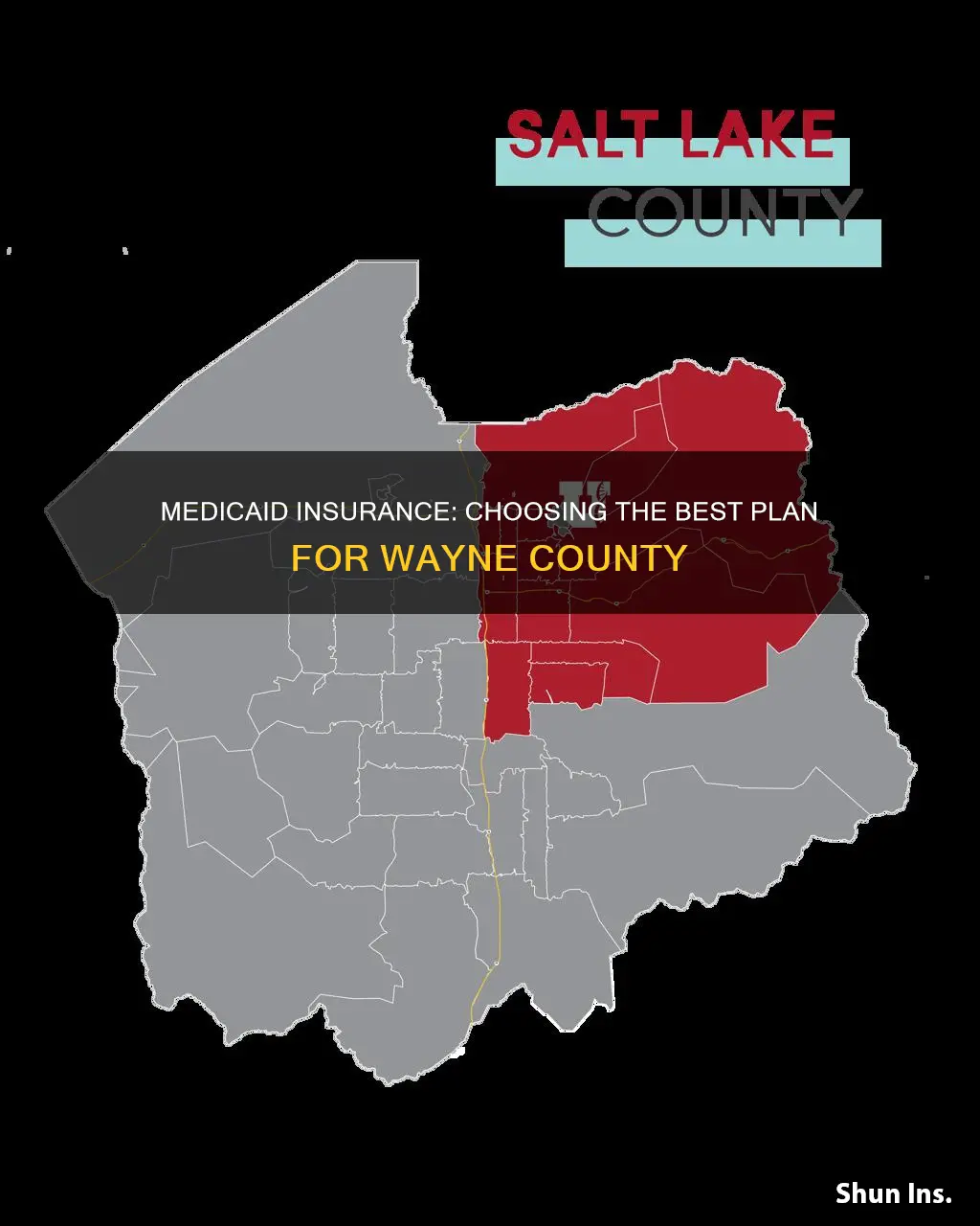 how do you choose the best medicad insurance wayne county