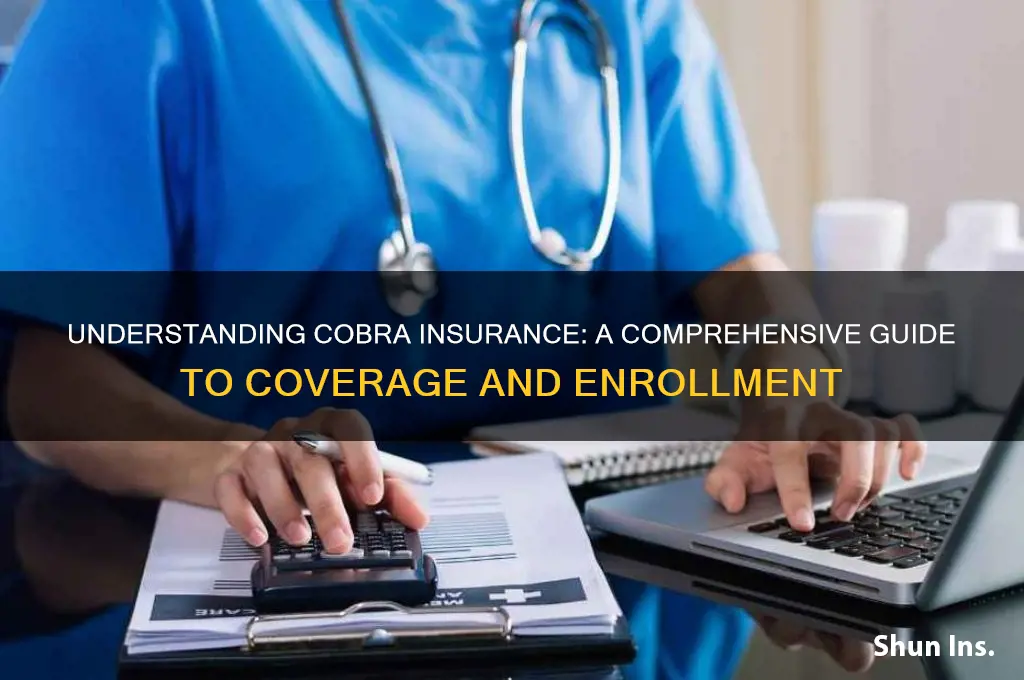 how do you cobra insurance