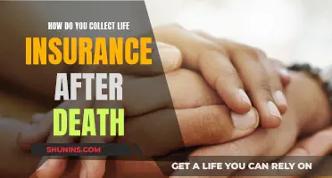 Life Insurance Payout: Claiming and Collecting After a Death