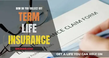 Understanding Off-Term Life Insurance Claims and Payouts