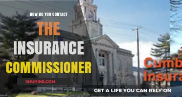 Contacting Your Insurance Commissioner: A Step-by-Step Guide for Policyholders