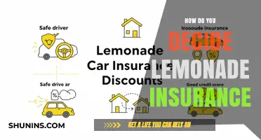 Choosing Lemonade Insurance: A Smart Guide to Coverage and Benefits
