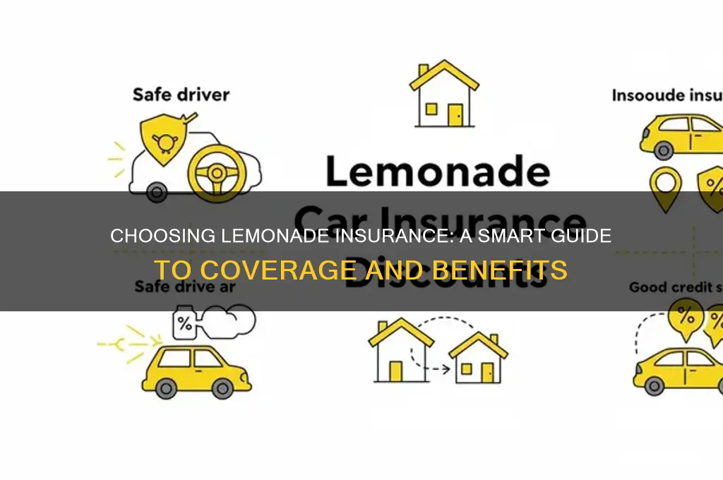 how do you decide lemonade insurance