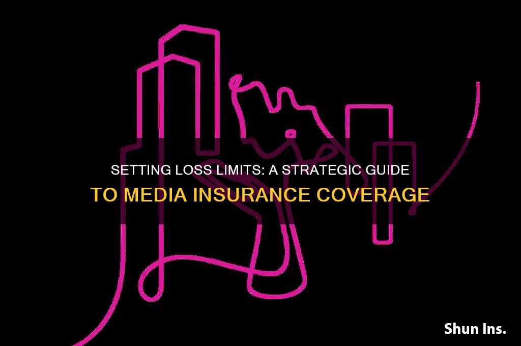 how do you decide loss limit on media insurance