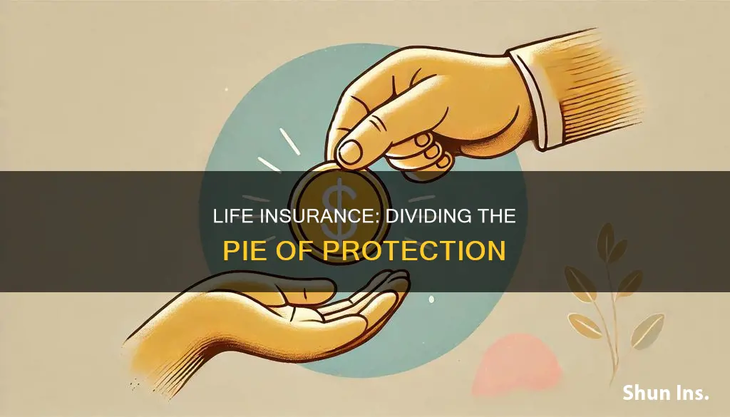 how do you divide life insurance