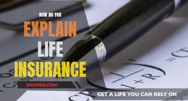 Understanding Life Insurance: Protecting Your Loved Ones