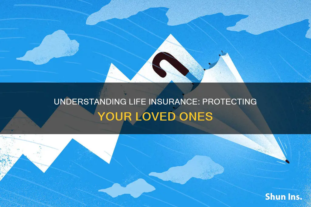 how do you explain life insurance