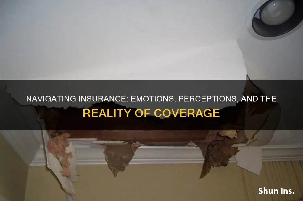 how do you feel about insurance