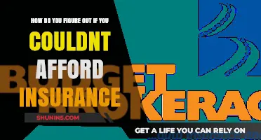 Can You Afford Insurance? A Step-by-Step Guide to Assess Your Budget