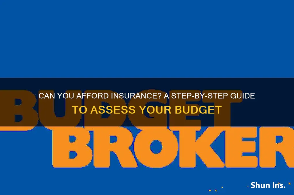 how do you figure out if you couldnt afford insurance