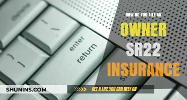 Filing an Owner SR22 Insurance: A Step-by-Step Guide for Drivers