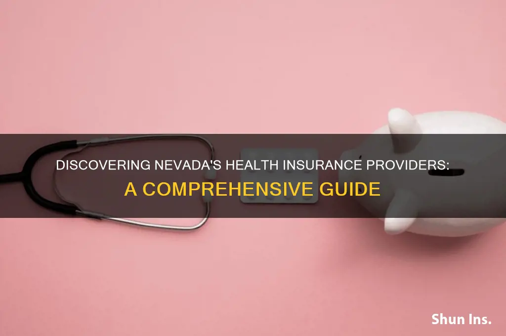 how do you find other health insurance providers in nevada