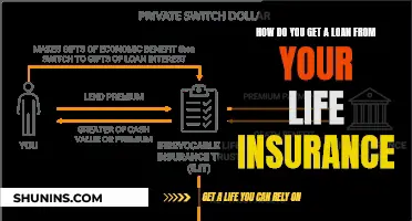 Utilizing Life Insurance: Getting a Loan from Your Policy