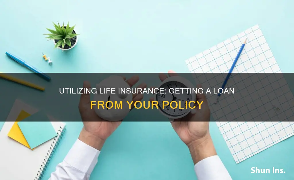 how do you get a loan from your life insurance