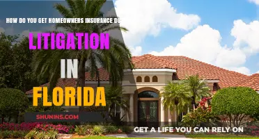 Litigation and Home Insurance: Florida's Unique Challenges