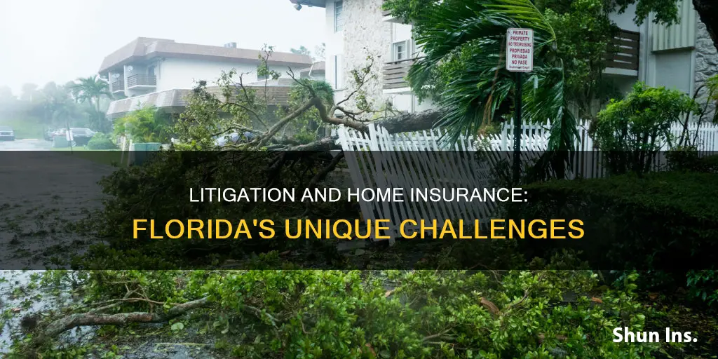 how do you get homeowners insurance during litigation in Florida