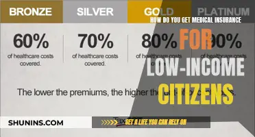 Accessing Medical Insurance: Options for Low-Income Citizens