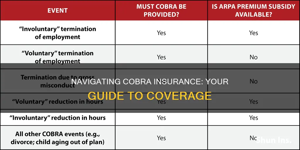 how do you go on cobra insurance