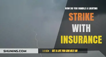 Insurance Claims After a Lightning Strike: What You Need to Know