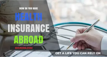 Navigating Global Healthcare: Your Guide to Health Insurance Abroad
