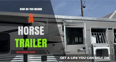 Insuring Your Horse Trailer: Essential Tips for Comprehensive Coverage