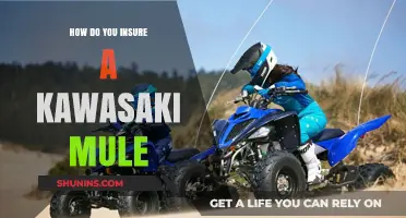Insuring Your Kawasaki Mule: A Comprehensive Guide to Coverage Options