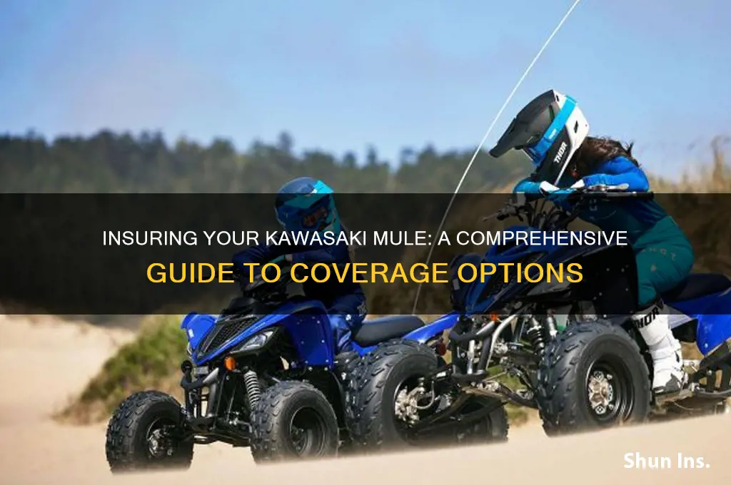 how do you insure a kawasaki mule