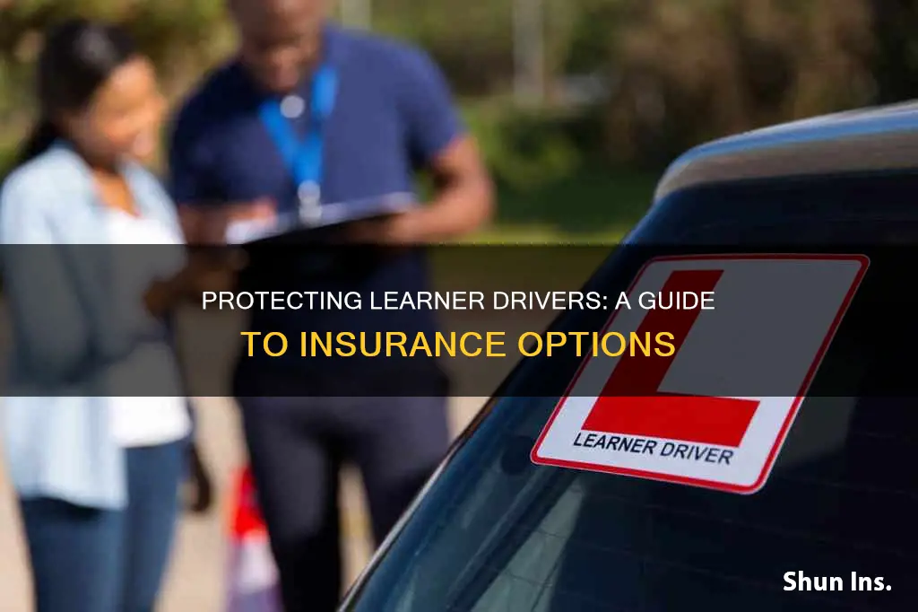 how do you insure a learner driver