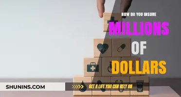 Securing Wealth: Strategies to Insure Millions of Dollars Effectively