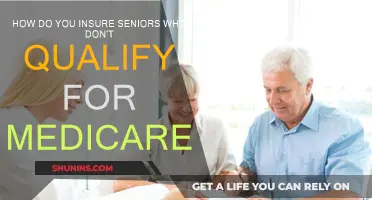 Insuring Seniors: Options Beyond Medicare