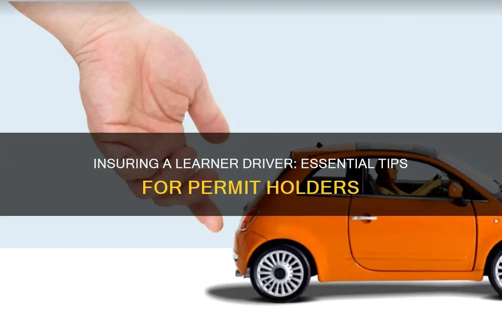 how do you insure someone on learners permit
