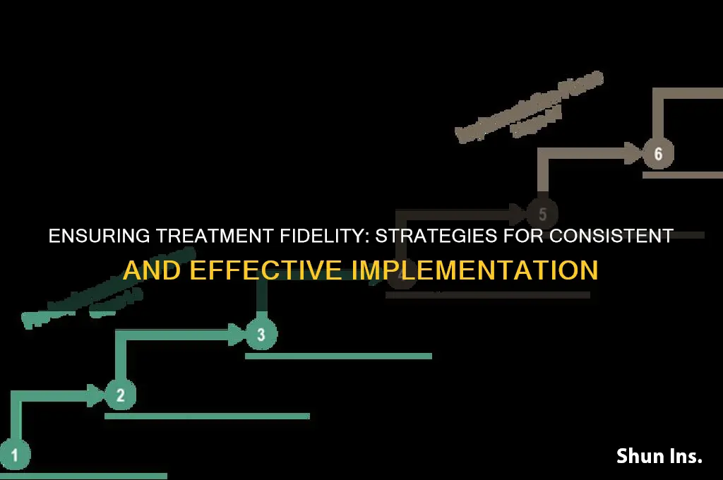 how do you insure treatment fidelity