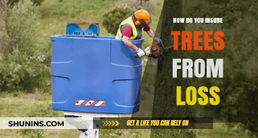 Protecting Your Trees: Comprehensive Insurance Strategies Against Loss and Damage