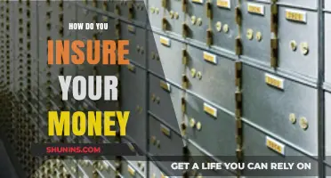 Protect Your Wealth: Insure Your Money
