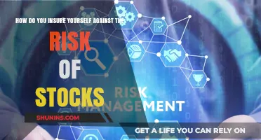 Protecting Your Portfolio: Insuring Against Stock Market Risks