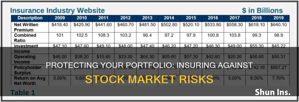 how do you insure yourself against the risk of stocks