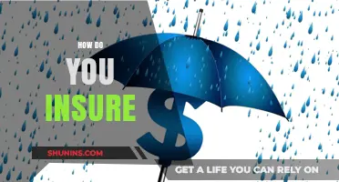 How to Insure Your Assets: A Comprehensive Guide to Protection