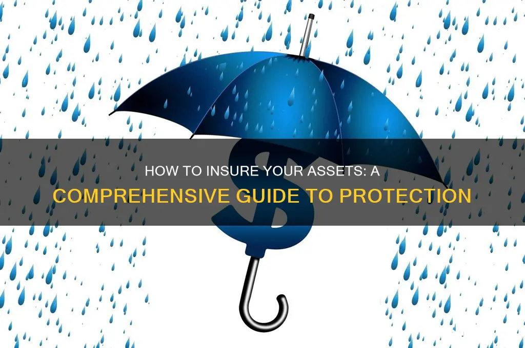 how do you insure