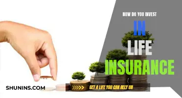 Life Insurance: Investing in Peace of Mind