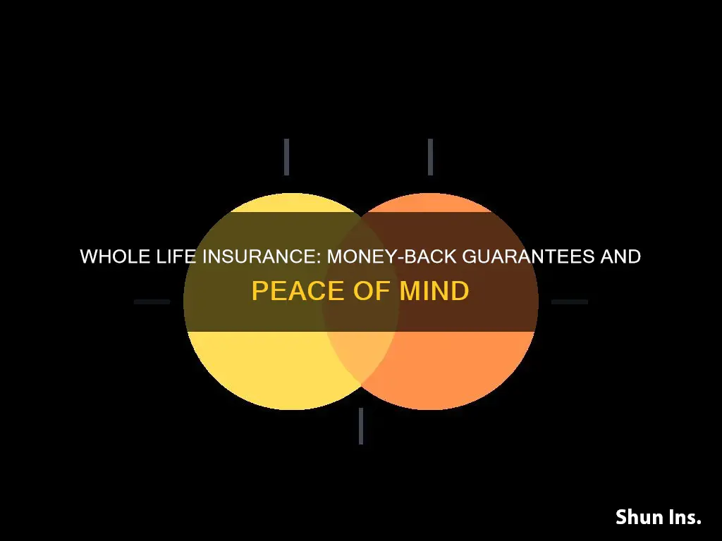 how do you know about taking money whole life insurance